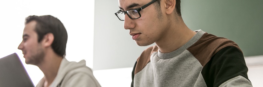 ingénieur informatique : étudiant suivant une formation en informatique sur ordinateur